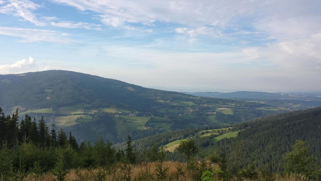 Bed and Breakfast Wald-Panorama-Zimmer à Mönichkirchen Extérieur photo